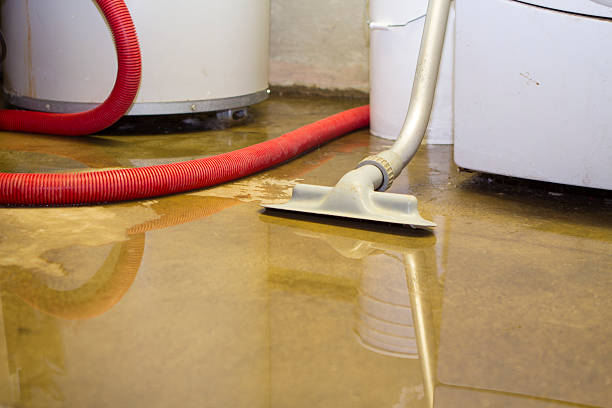 Best Mold removal after water damage  in Sparrow Bush, NY