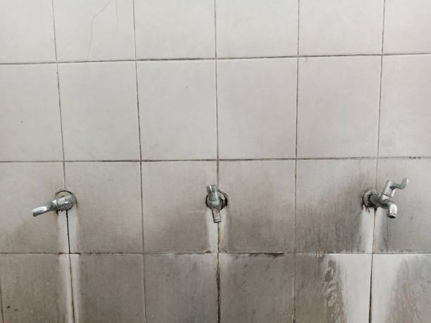 Best Emergency water extraction  in Sparrow Bush, NY